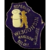 WISCONSIN PIN WI STATE SHAPE PINS